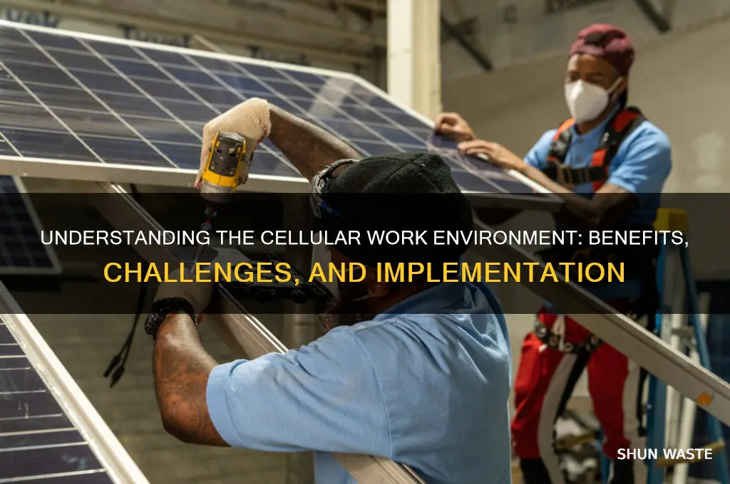 what is a cellular work environment