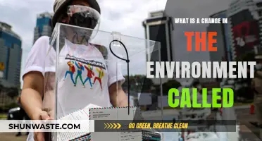 Understanding Environmental Shifts: What is a Change in the Environment Called?