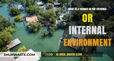 Understanding Environmental Shifts: Internal and External Changes Explained