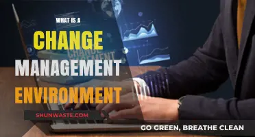 Understanding the Dynamics of a Change Management Environment