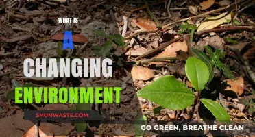 Understanding the Dynamics of a Changing Environment: Causes and Impacts