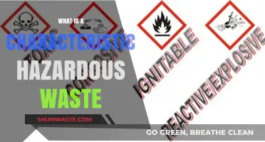 Identifying Hazardous Waste: Key Characteristics and Examples