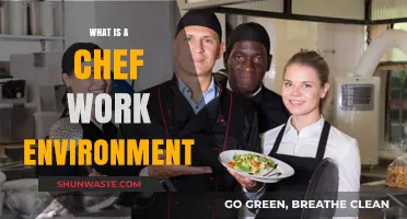 Exploring the Fast-Paced, Creative, and Demanding Chef Work Environment