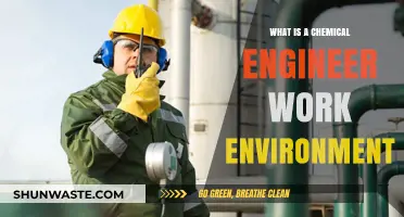 Exploring the Diverse Work Environments of Chemical Engineers