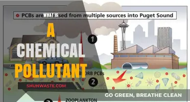 Chemical Pollutants: What Are They?