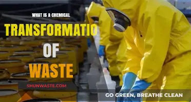 Transforming Waste: Understanding Chemical Processes for Sustainable Recycling