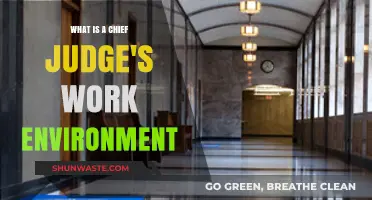 Chief Judge's Work Environment: Roles, Responsibilities, and Daily Challenges
