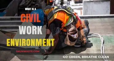 Fostering Respect and Collaboration: Understanding a Civil Work Environment