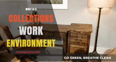 Exploring the Dynamics of a Collections Work Environment