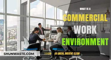 Understanding the Dynamics of a Commercial Work Environment