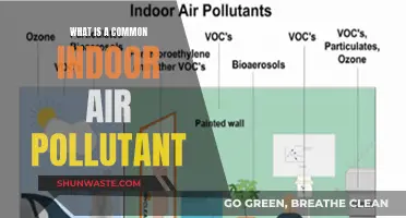 Indoor Air Quality: Common Pollutants Revealed