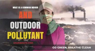 Air Pollutants: Indoors and Outdoors
