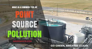 Understanding Point Source Pollution: Common Types and Causes