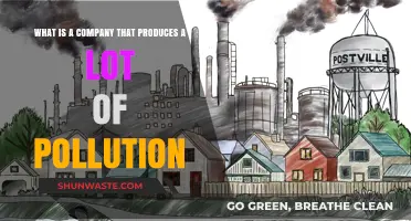 Big Polluters: The Companies Harming Our Planet