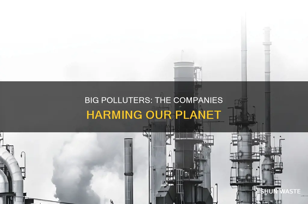 what is a company that produces a lot of pollution