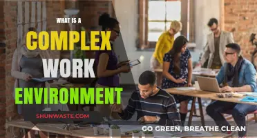 Understanding the Dynamics of a Complex Work Environment