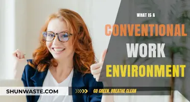 Understanding the Traditional Workplace: What is a Conventional Work Environment?