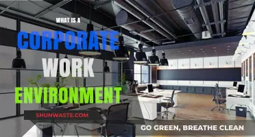 Understanding the Dynamics of a Corporate Work Environment