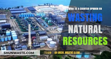 Rethinking Resource Use: The Case Against Wasting Natural Wealth
