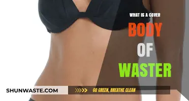 Understanding the Cover Body of Water: Definition and Importance Explained
