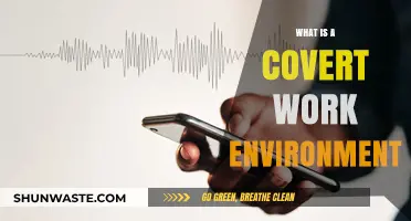 Understanding the Hidden Dynamics of a Covert Work Environment