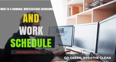 Exploring Criminal Investigators' Work Environment and Daily Schedules