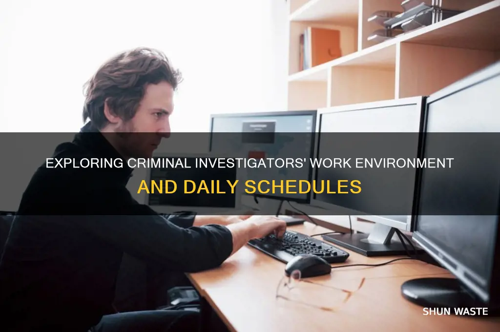 what is a criminal investigators environment like and work schedule