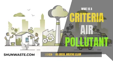 Air Pollutants: Criteria and Their Impact