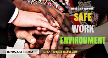 Creating a Culturally Safe Work Environment: Key Principles and Practices