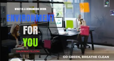 Defining Your Demanding Work Environment: Challenges, Stressors, and Personal Limits