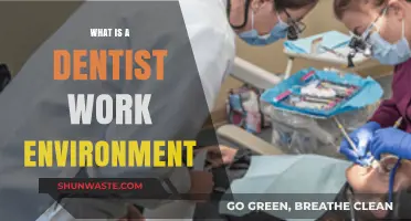 Exploring the Daily Life and Work Environment of a Dentist