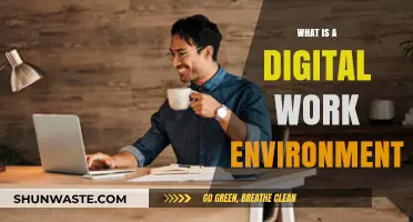 Understanding the Digital Work Environment: Benefits, Tools, and Best Practices