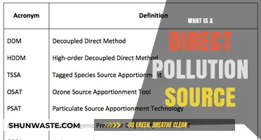Understanding Direct Pollution Sources and Their Impact