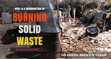 Burning Solid Waste: A Hidden Environmental and Health Hazard