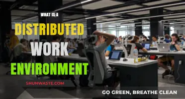 Understanding the Dynamics of a Distributed Work Environment