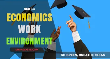 Exploring the Dynamics of an Economics Work Environment