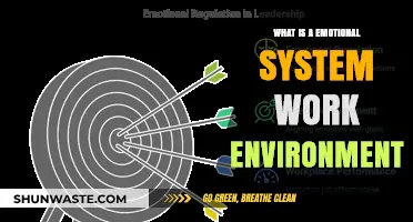 Understanding Emotional System Dynamics in Modern Work Environments