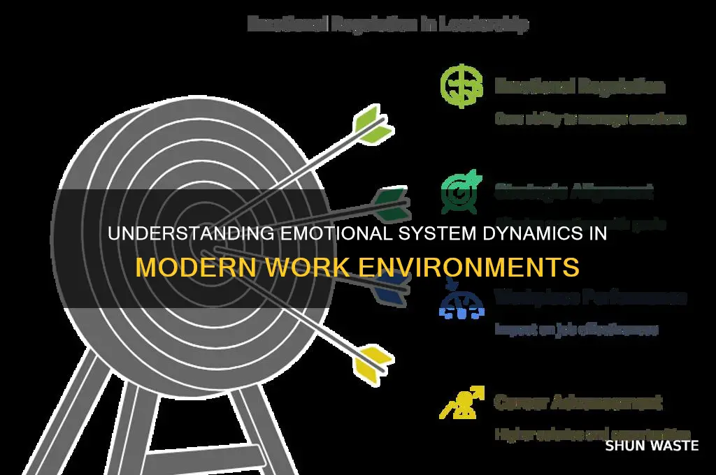 what is a emotional system work environment