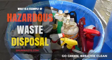 Safe Disposal of Hazardous Waste: A Practical Example