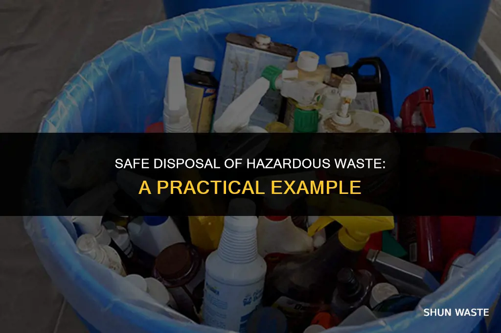 what is a example of hazardous waste disposal