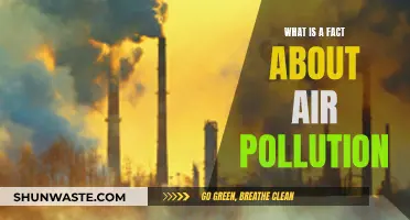 Air Pollution: Understanding the Facts and Figures