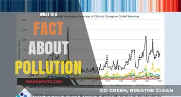 The Dark Truth About Pollution