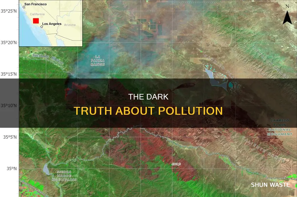 what is a fact about pollution