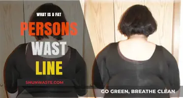 Understanding the Waistline of a Fat Person: Facts and Insights