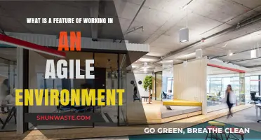 Agile Work Environments: Key Features for Enhanced Collaboration and Flexibility