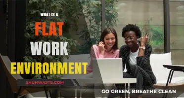 Understanding the Benefits of a Flat Work Environment