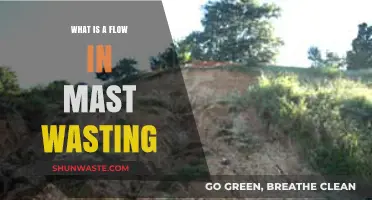 Understanding Mast Wasting: Exploring the Concept of Flow in Ecosystems