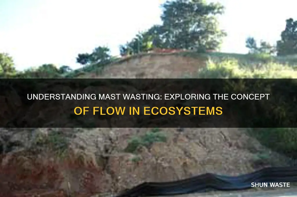 what is a flow in mast wasting