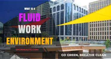 Understanding the Dynamics of a Fluid Work Environment