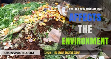 Food Waste Crisis: How Our Plates Harm the Planet